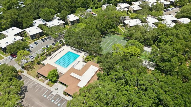 11844 SKYLAKE PLACE, Tampa, FL 33617