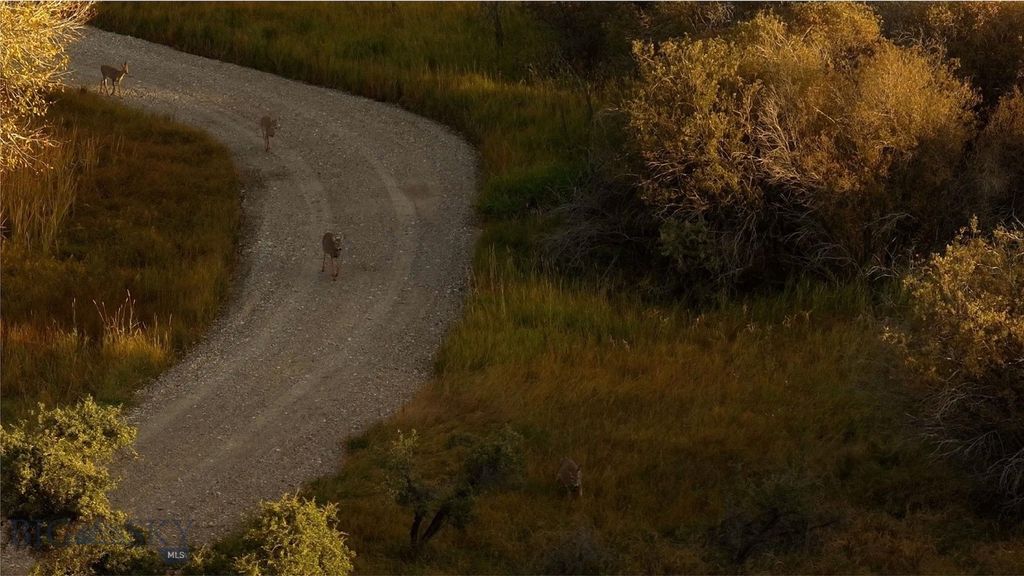 15 Meridian Road, Three Forks, MT 59752 photo 32