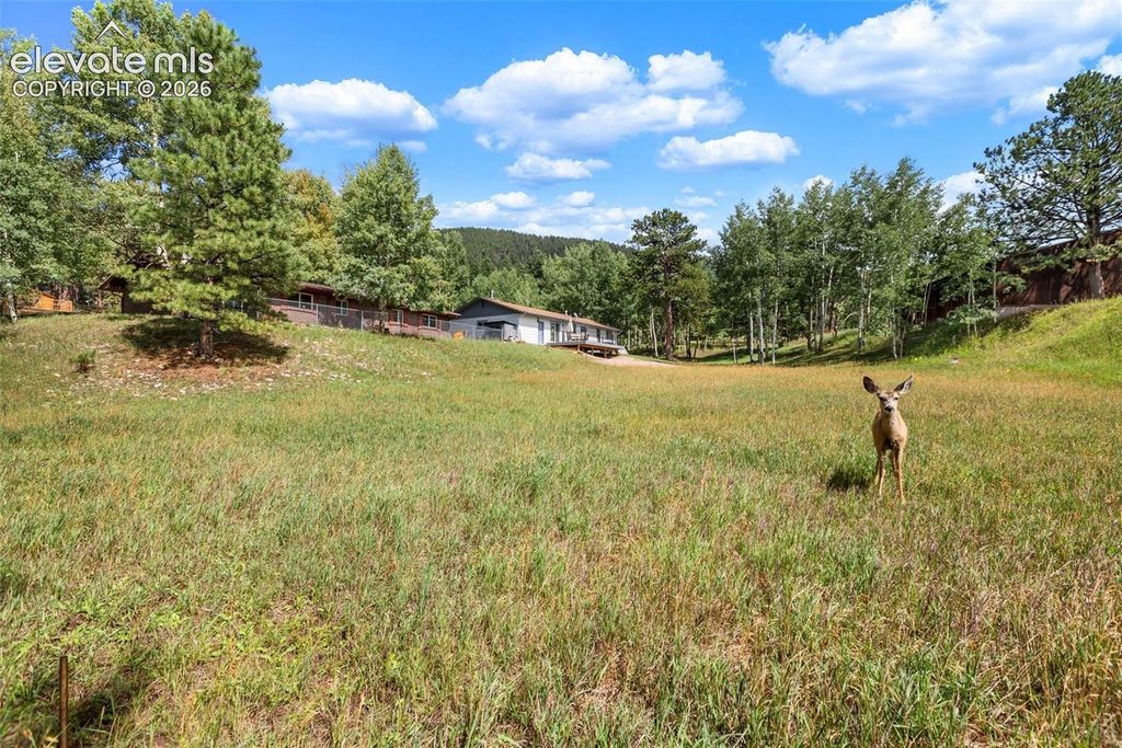 1035 Park View Road, Woodland Park, CO 80863 — photo 2