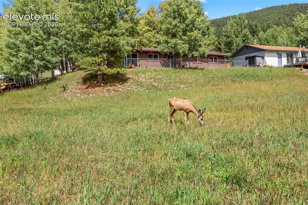 1035 Park View Road, Woodland Park, CO 80863 — photo 3