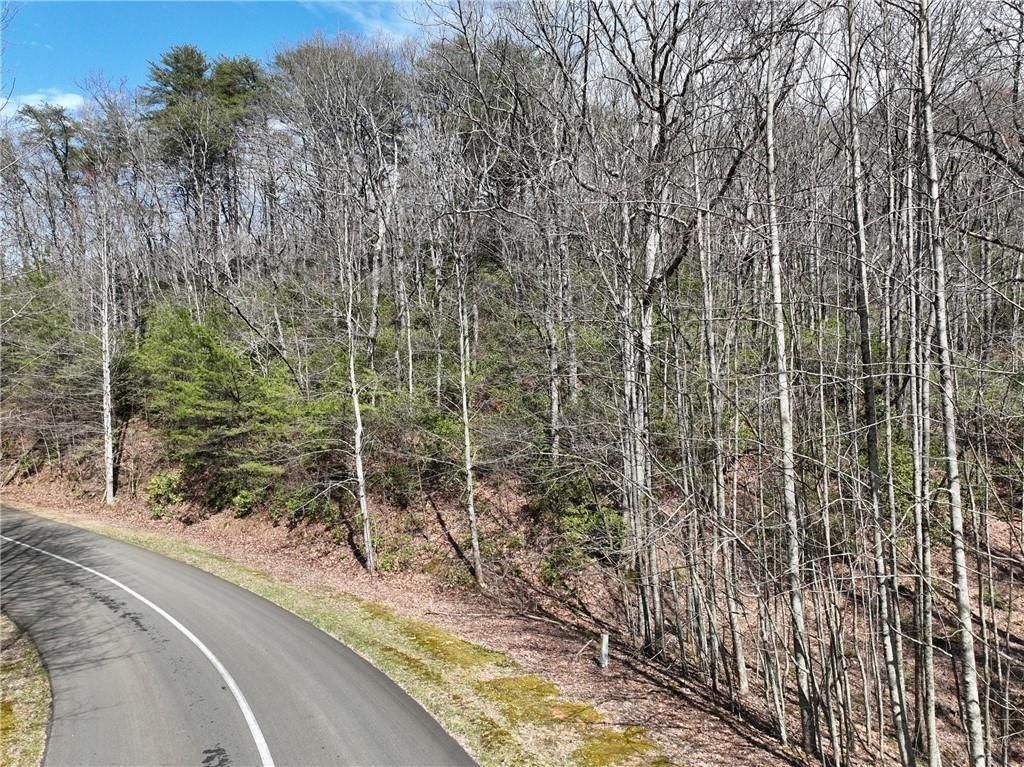 63 St Andrews Way, Ellijay, GA 30536