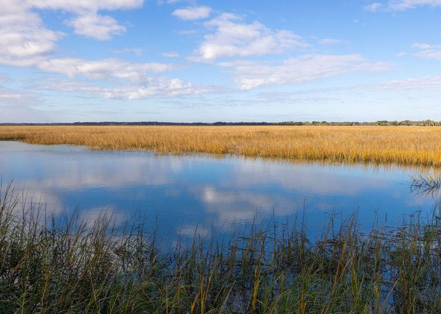 2393 Folly Road 1a, Folly Beach, SC 29439