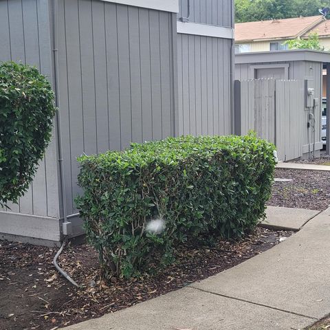 5935 Bamford Dr, Sacramento, CA 95823