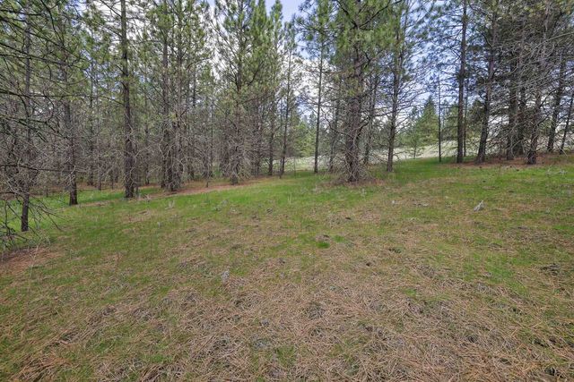 NKA Lower Weaver Way, Deer Park, WA 99006