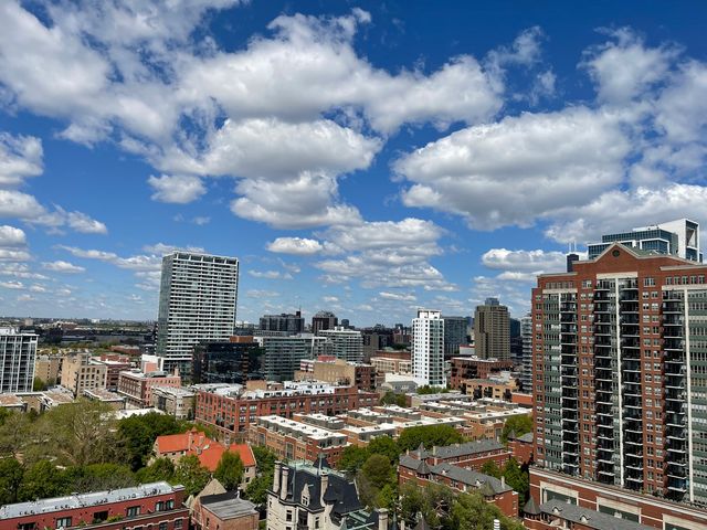 1841 S CALUMET Street 1809, Chicago, IL 60616