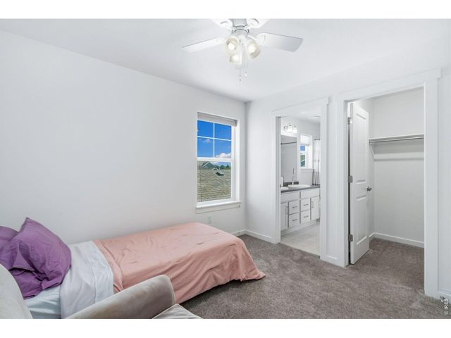 5174 Rendezvous Pkwy, Timnath, CO 80547