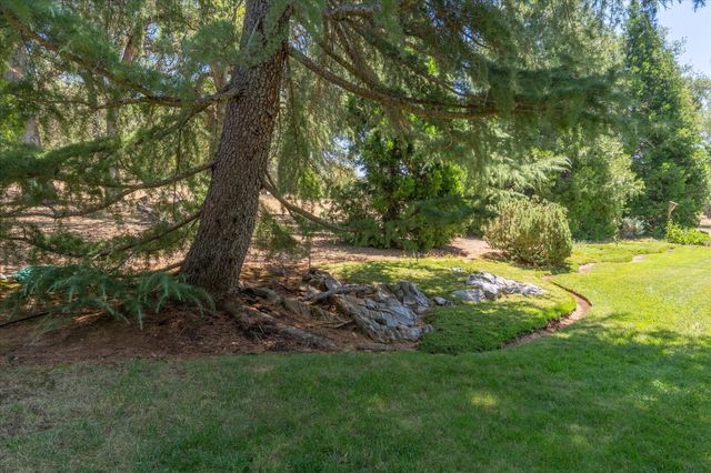 830 Stella Dr, Murphys, CA 95247
