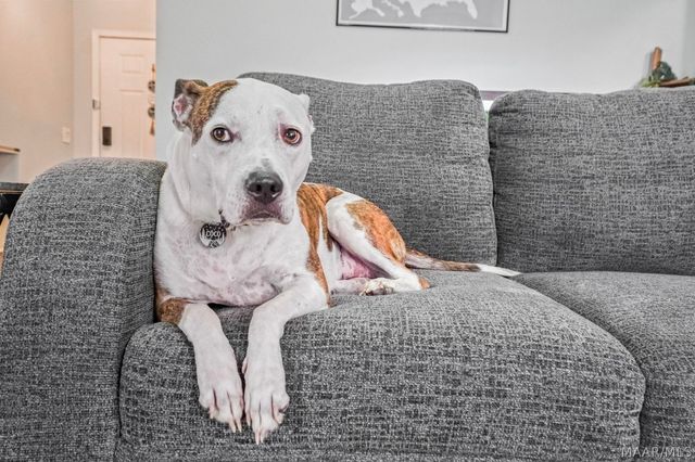 5952 Brookline Lane, Montgomery, AL 36116