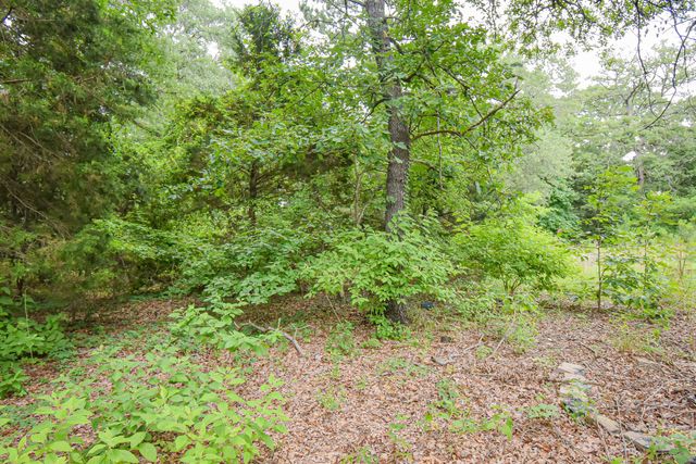 408 Tarrapin, Murchison, TX 75778