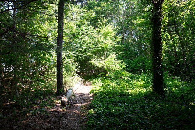 25 Wood Valley Road, Chatham, MA 02633