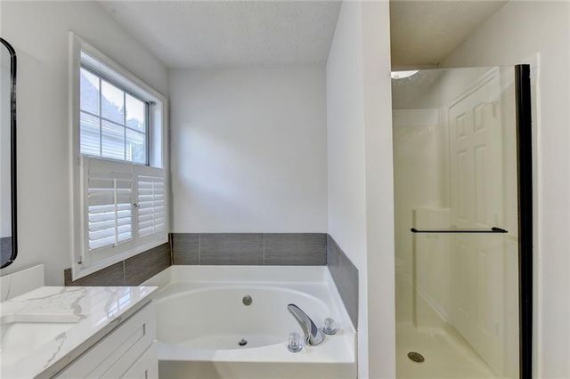3470 Palisade Lake Drive, Duluth, GA 30096