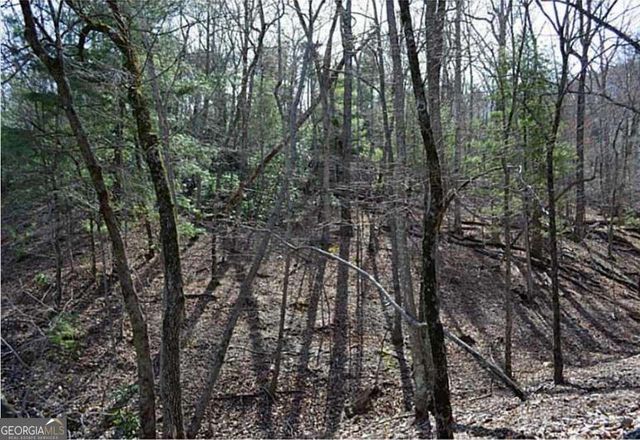 2569 Wilderness Parkway, Jasper, GA 30143