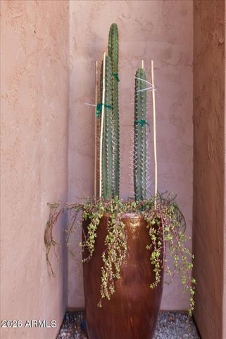 4364 N 156TH Lane, Goodyear, AZ 85395