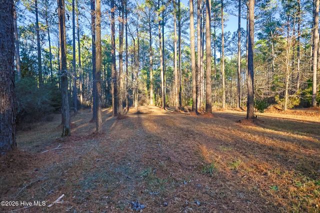 88 Cape Hatteras Point, Oriental, NC 28571