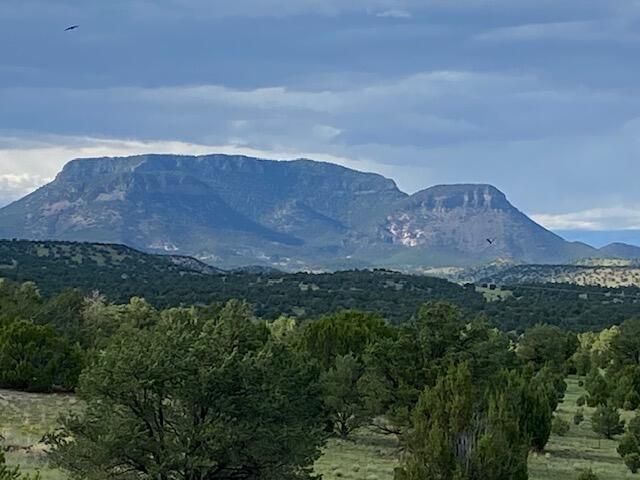 233 Turquoise Trail, Datil, NM 87821