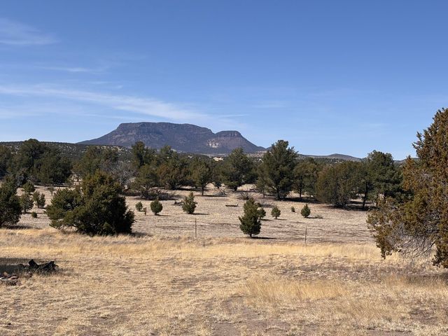 233 Turquoise Trail, Datil, NM 87821
