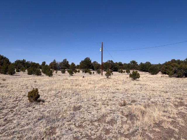 233 Turquoise Trail, Datil, NM 87821