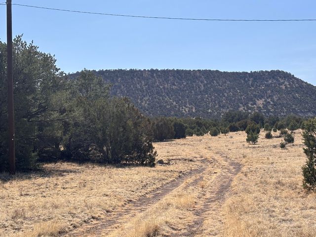 233 Turquoise Trail, Datil, NM 87821