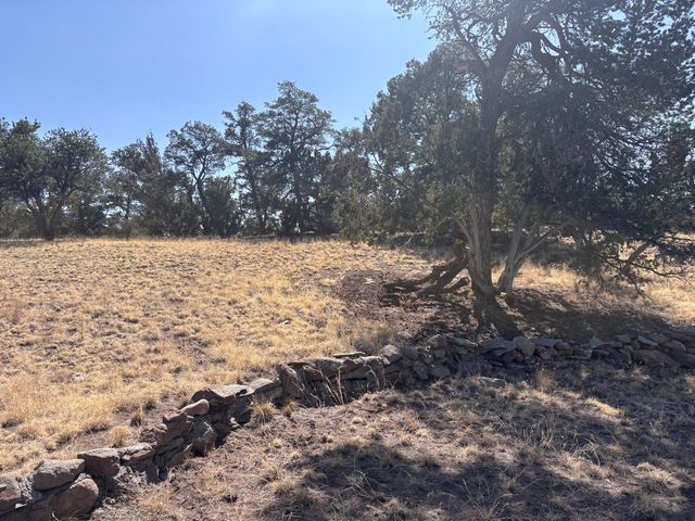 233 Turquoise Trail, Datil, NM 87821