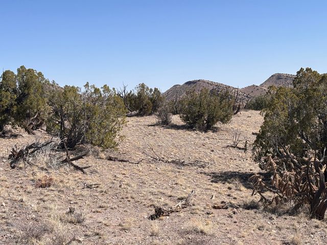 233 Turquoise Trail, Datil, NM 87821