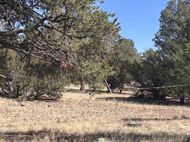 233 Turquoise Trail, Datil, NM 87821