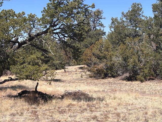 233 Turquoise Trail, Datil, NM 87821