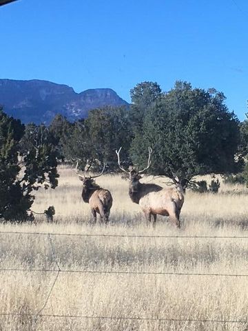 233 Turquoise Trail, Datil, NM 87821