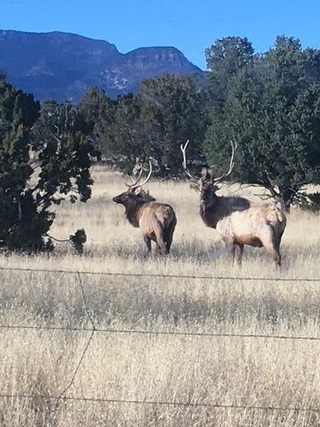 233 Turquoise Trail, Datil, NM 87821