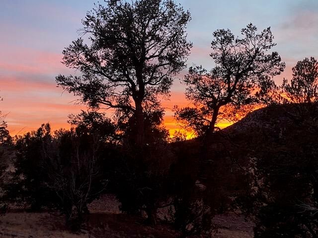 233 Turquoise Trail, Datil, NM 87821