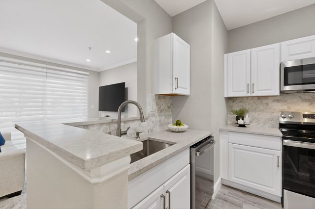 330 Las Colinas Boulevard E 172, Irving, TX 75039