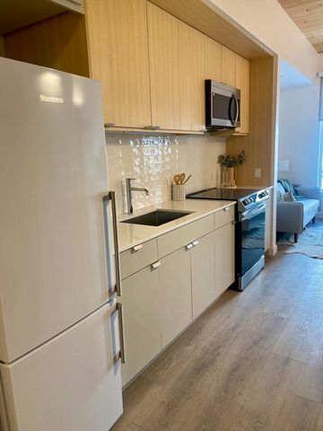 154 Broadway 303, Somerville, MA 02145