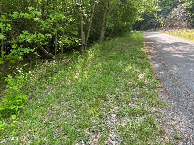 Lot 6b Of Roan Creek Road, Butler, TN 37640