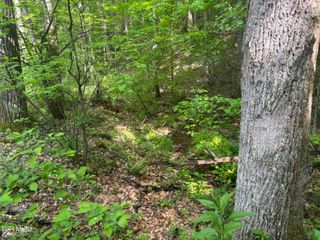Lot 6b Of Roan Creek Road, Butler, TN 37640
