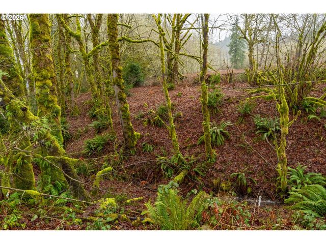 9600 Ne SPURREL Rd, Woodland, WA 98674