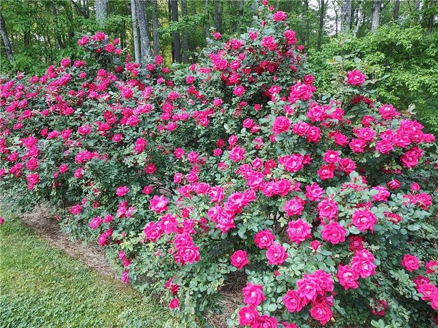 61 Maplewood Cove, Acworth, GA 30101