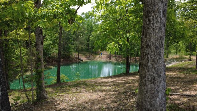 7948 Daugherty Capley Rd, Primm Springs, TN 38476