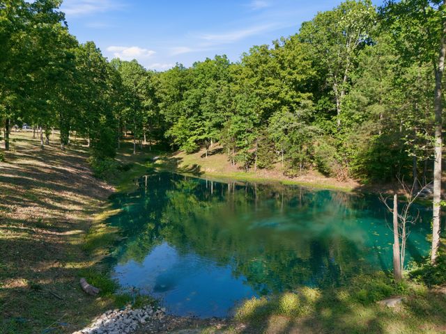 7948 Daugherty Capley Rd, Primm Springs, TN 38476