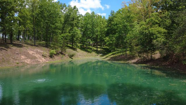 7948 Daugherty Capley Rd, Primm Springs, TN 38476