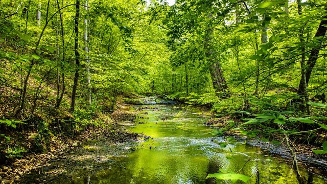 7948 Daugherty Capley Rd, Primm Springs, TN 38476