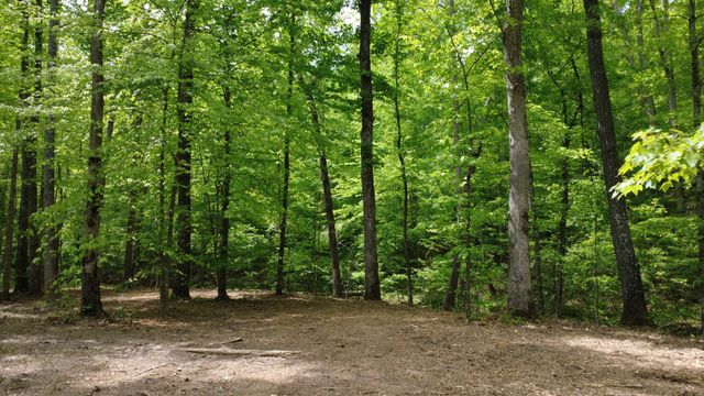 7948 Daugherty Capley Rd, Primm Springs, TN 38476