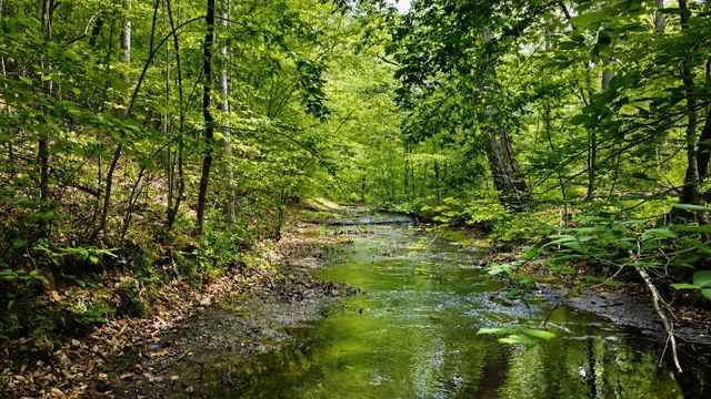7948 Daugherty Capley Rd, Primm Springs, TN 38476