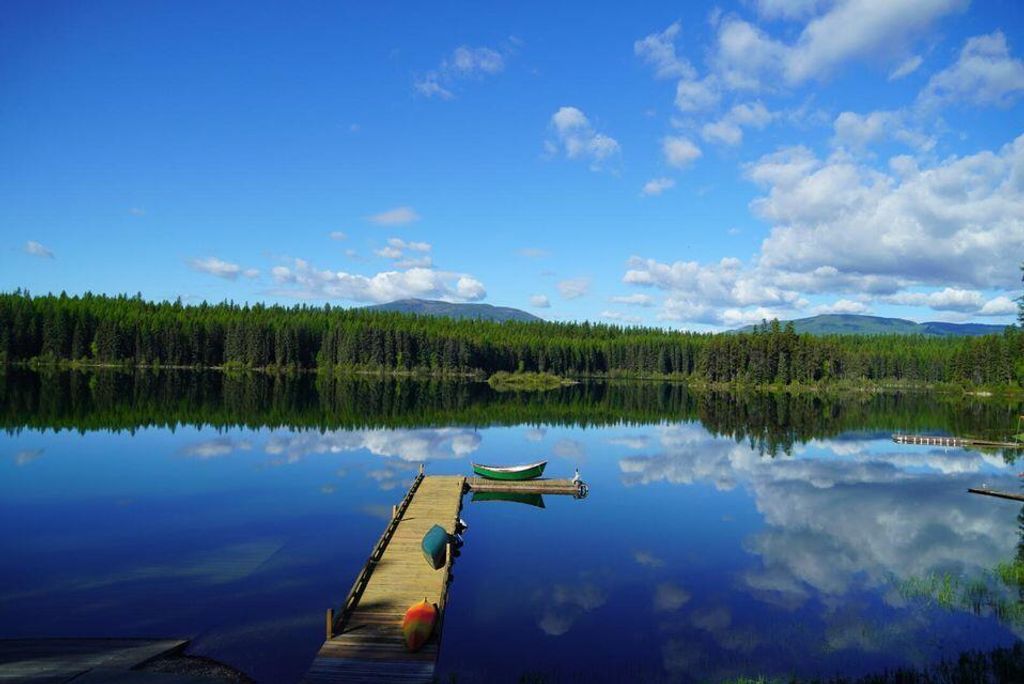 6825 Hwy 93 N, Olney, MT 59927 photo 29