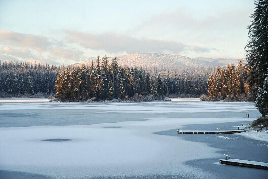 6825 Hwy 93 N, Olney, MT 59927 photo 32