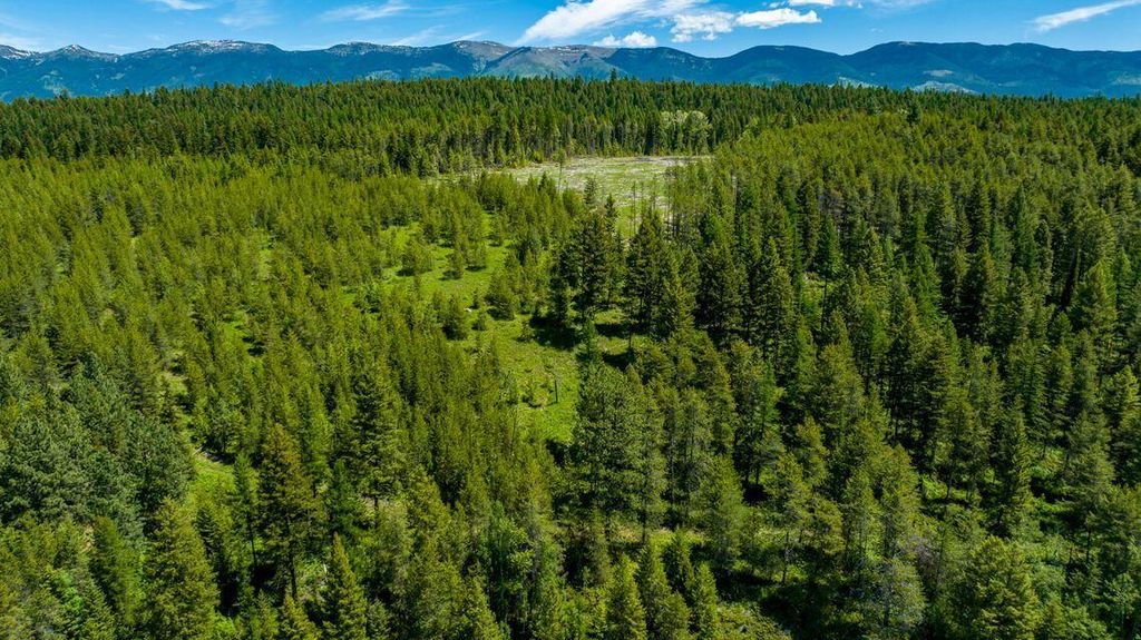 6825 Hwy 93 N, Olney, MT 59927 photo 45