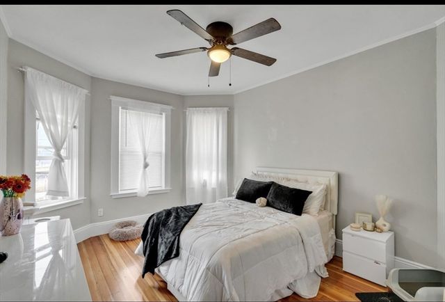 206 Norwell 1, Boston, MA 02124