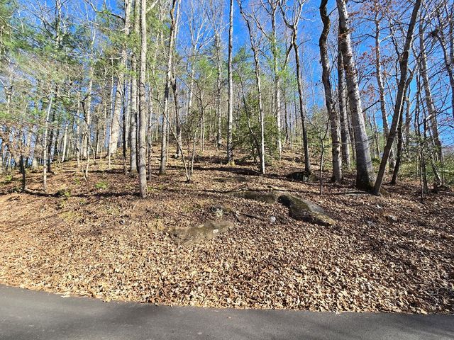 Lot 67 Hi River Country, Hiawassee, GA 30546