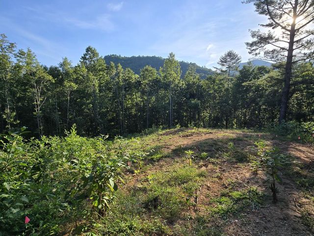 Lot 67 Hi River Country, Hiawassee, GA 30546