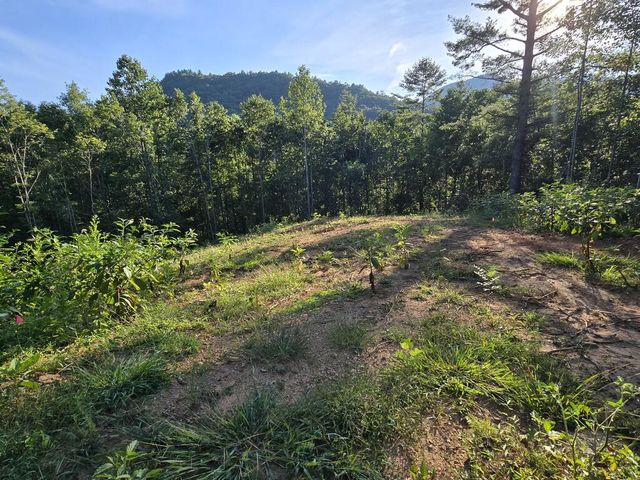 Lot 67 Hi River Country, Hiawassee, GA 30546