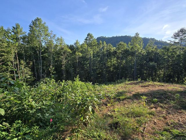 Lot 67 Hi River Country, Hiawassee, GA 30546