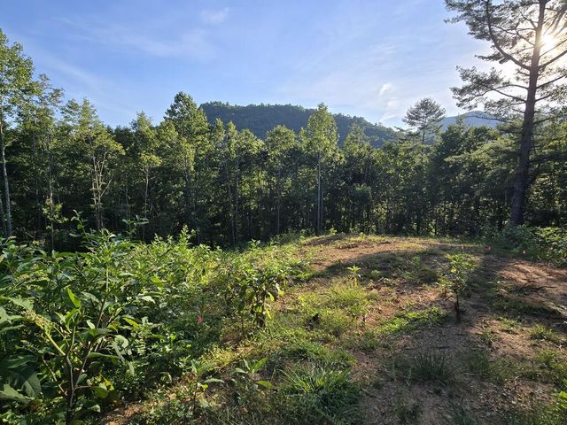 Lot 67 Hi River Country, Hiawassee, GA 30546